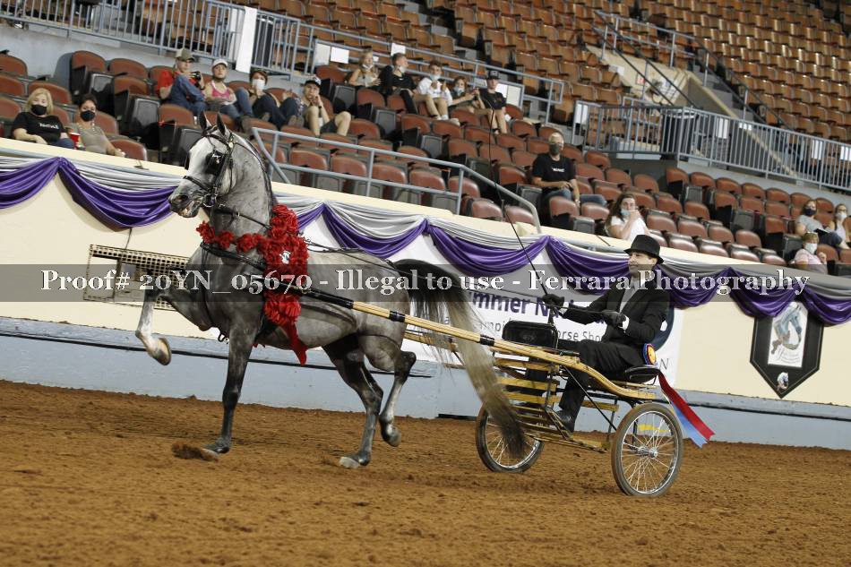 Proof 20YN_05670