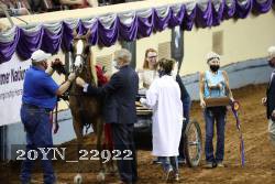 20YN_22922 proof