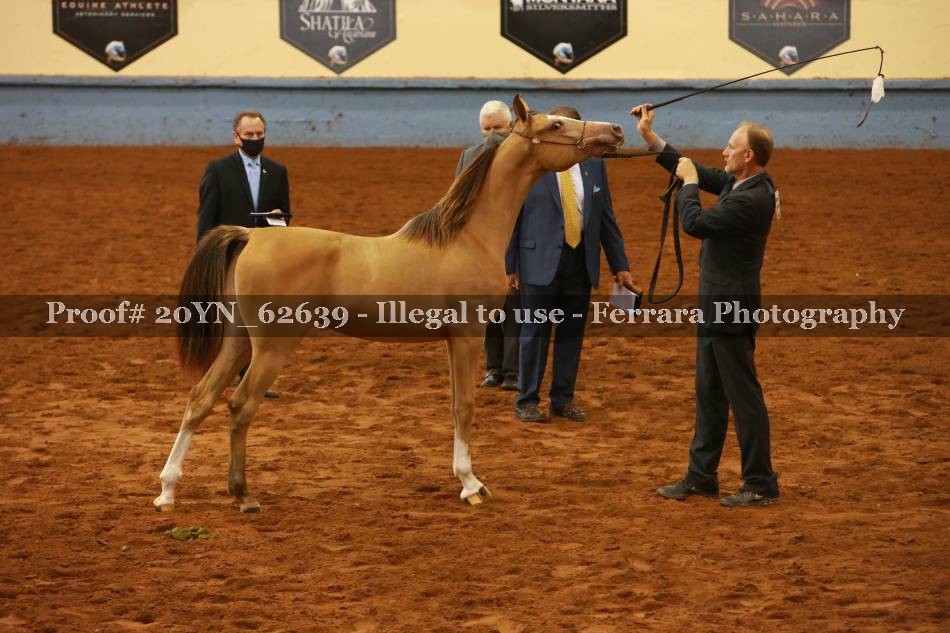Proof 20YN_62639