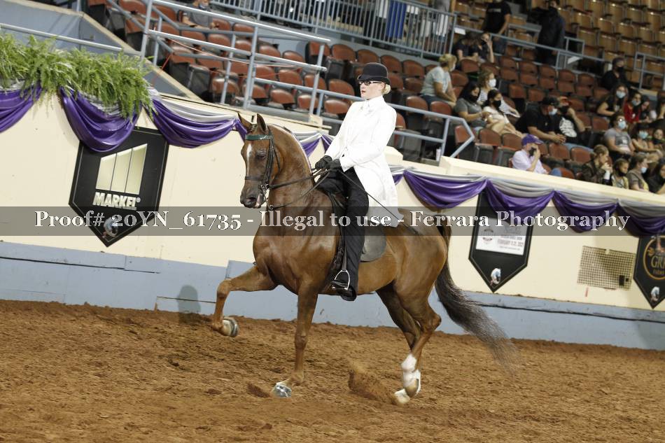 Proof 20YN_61735