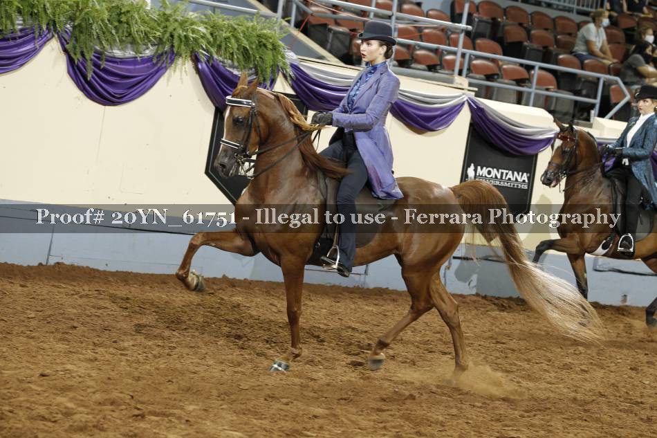 Proof 20YN_61751