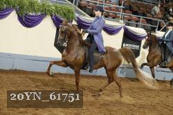 20YN_61751 proof