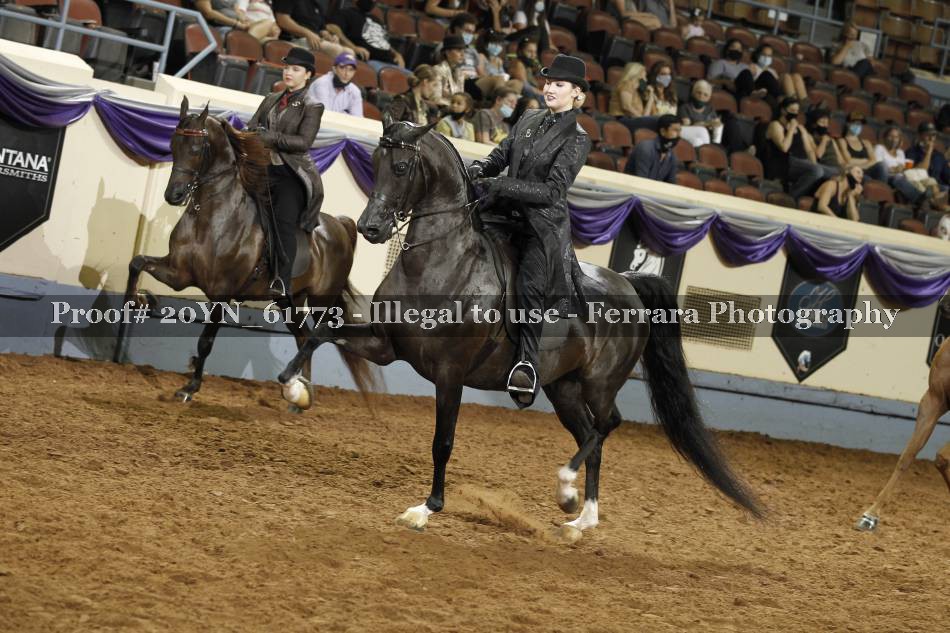 Proof 20YN_61773