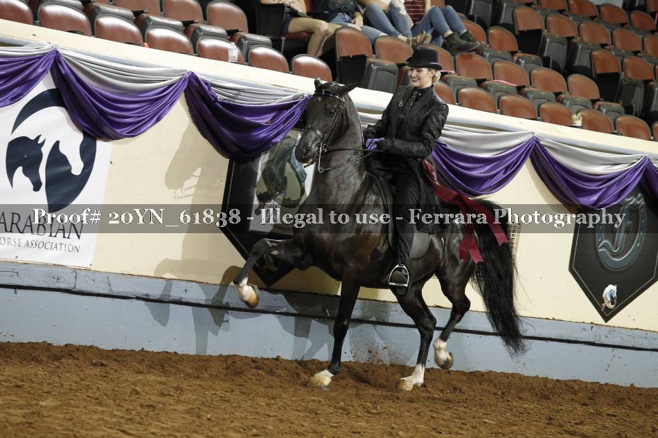 Proof 20YN_61838