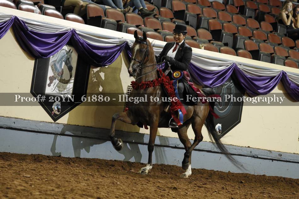 Proof 20YN_61880