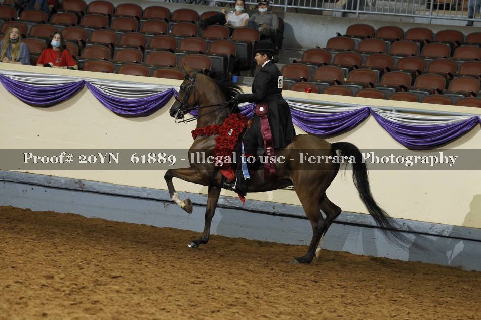 Proof 20YN_61889