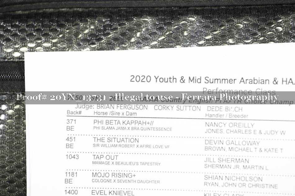 Proof 20YN_13731