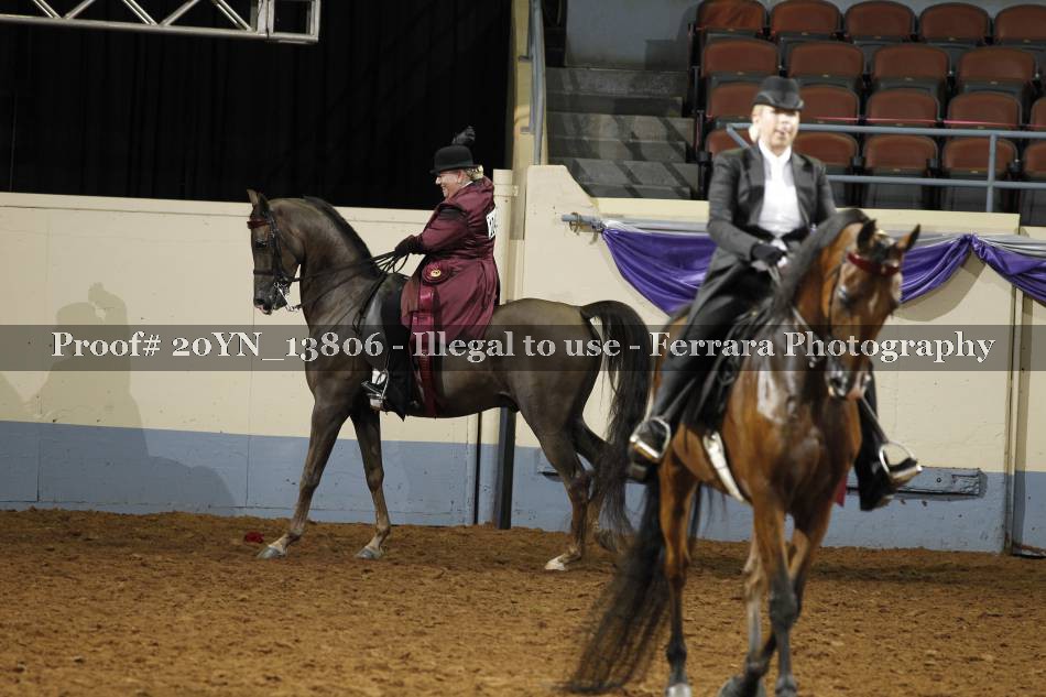 Proof 20YN_13806