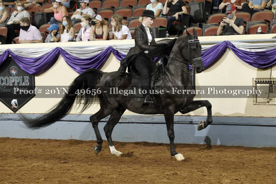Proof 20YN_49656
