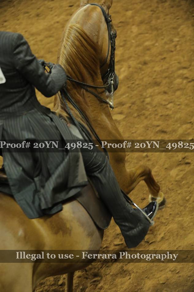 Proof 20YN_49825