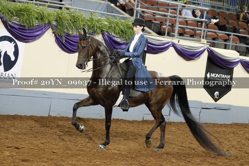 Proof 20YN_09637