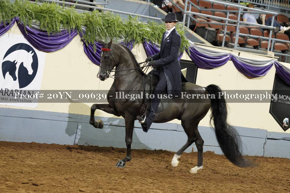 Proof 20YN_09639