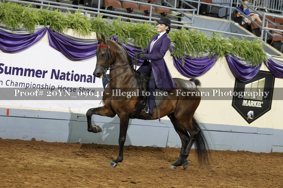 Proof 20YN_09641