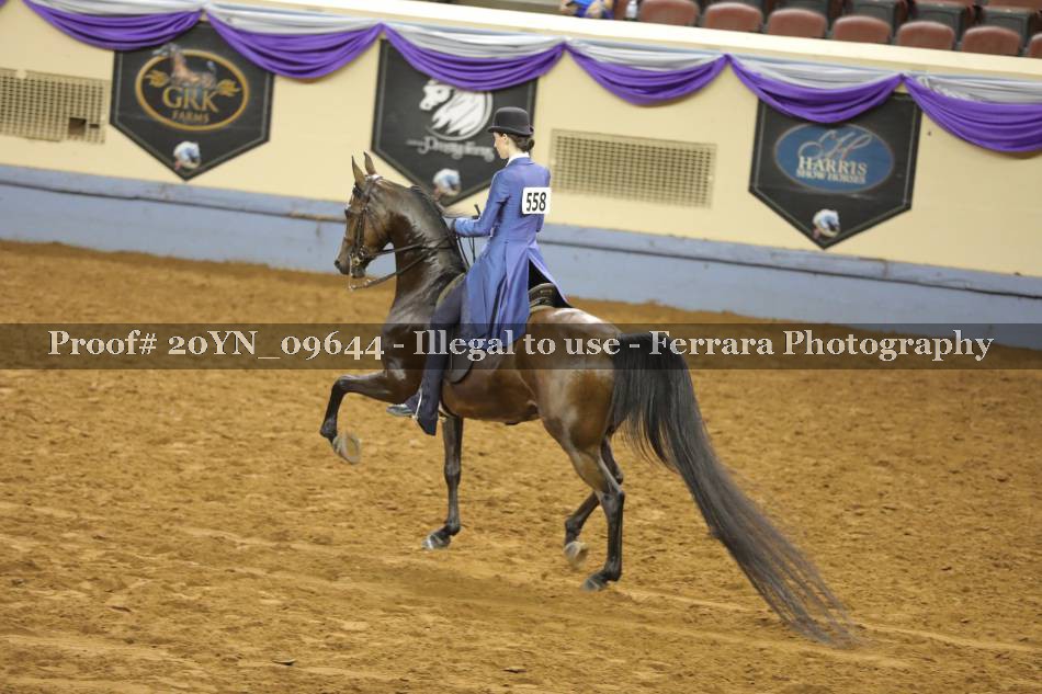 Proof 20YN_09644