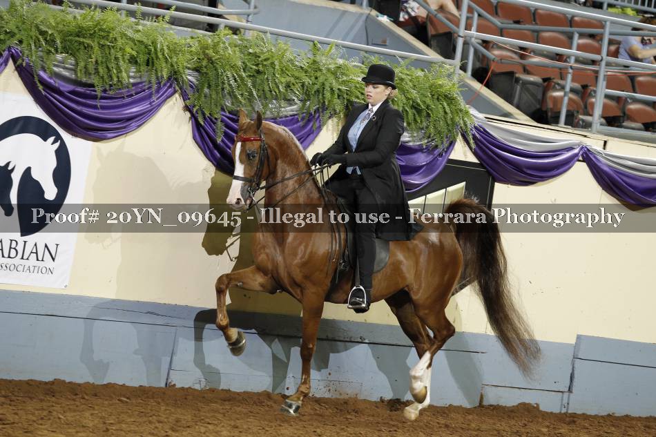 Proof 20YN_09645