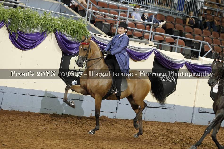 Proof 20YN_09647