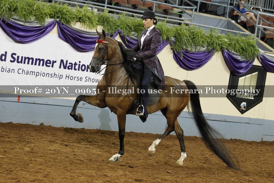 Proof 20YN_09651