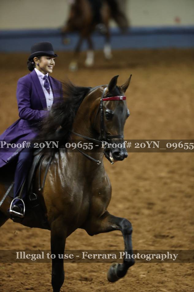 Proof 20YN_09655