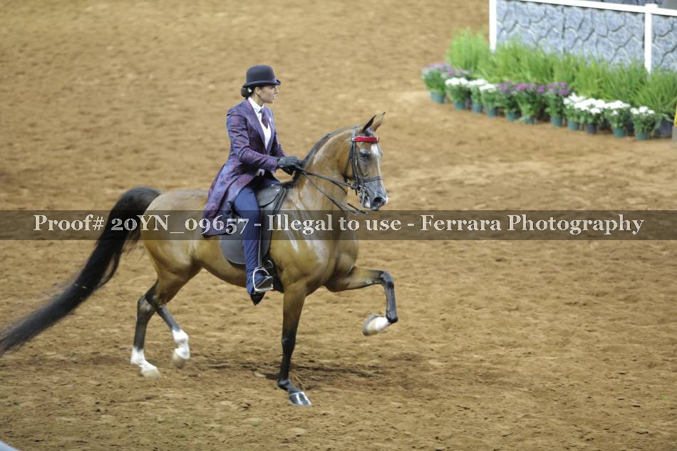 Proof 20YN_09657