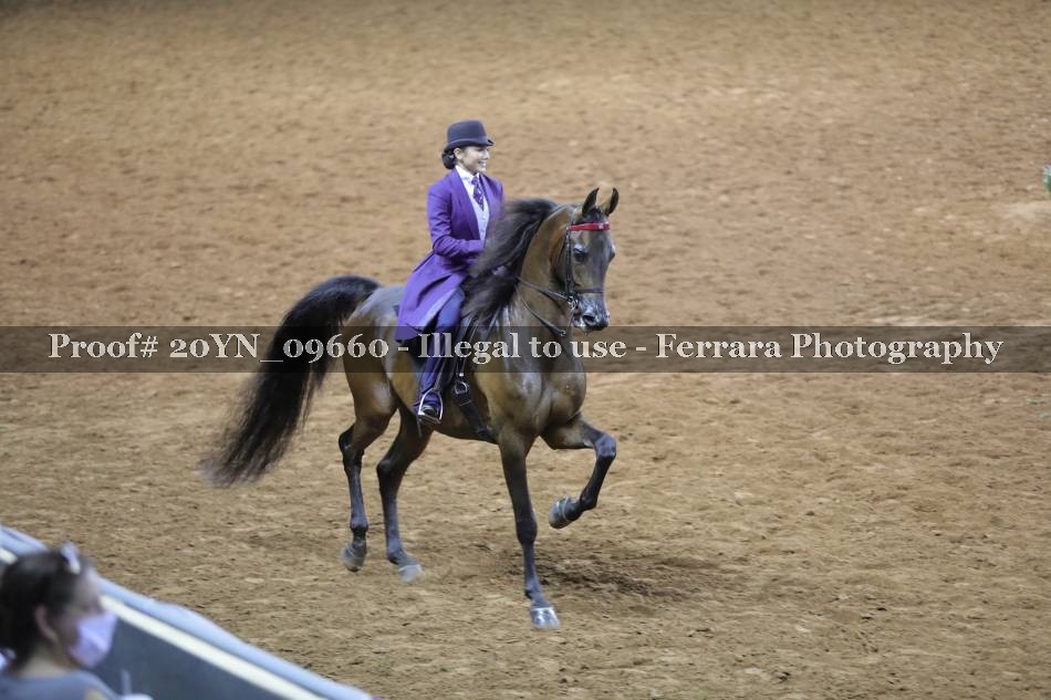 Proof 20YN_09660