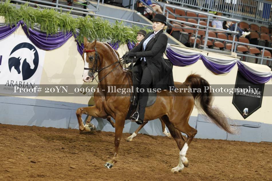 Proof 20YN_09661