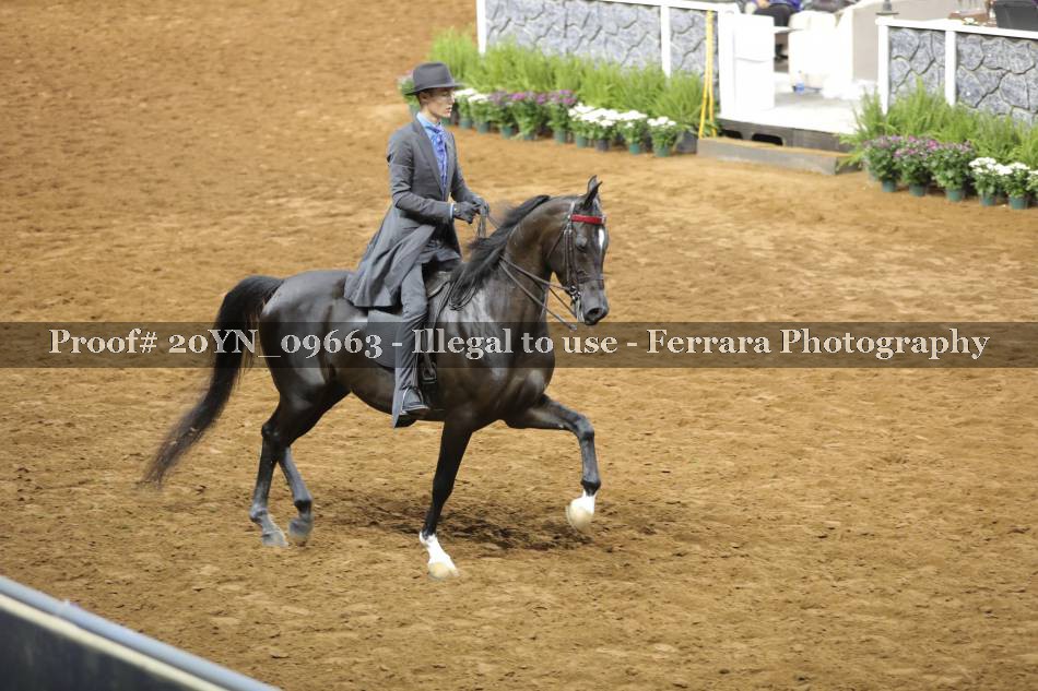 Proof 20YN_09663