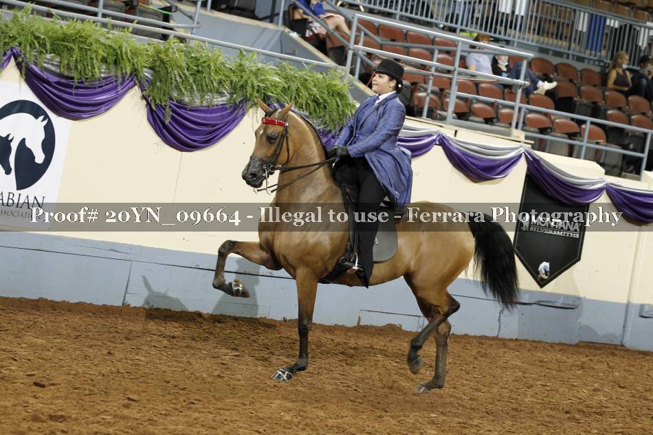 Proof 20YN_09664