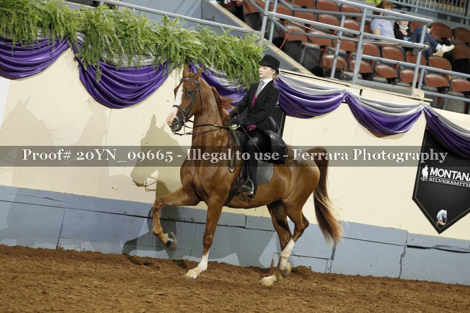 Proof 20YN_09665
