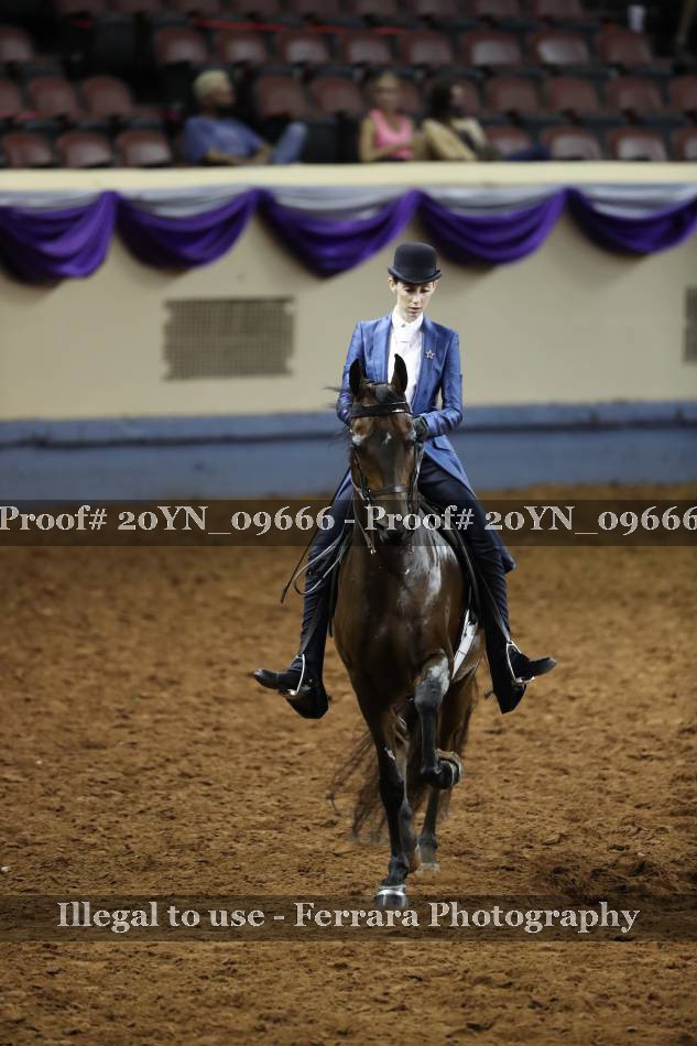 Proof 20YN_09666