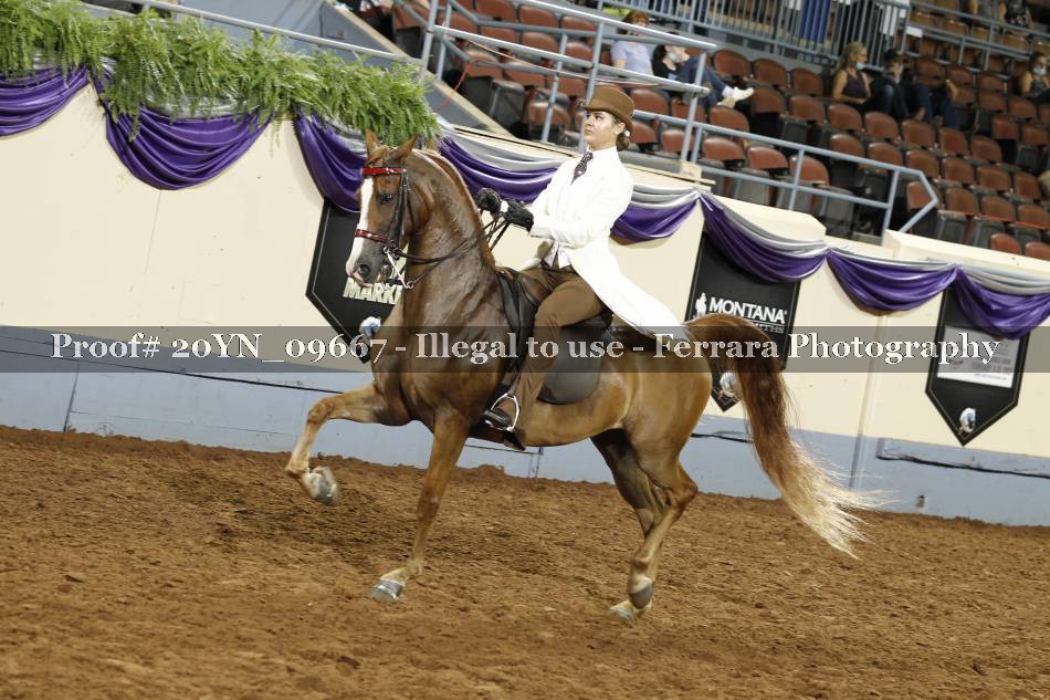 Proof 20YN_09667
