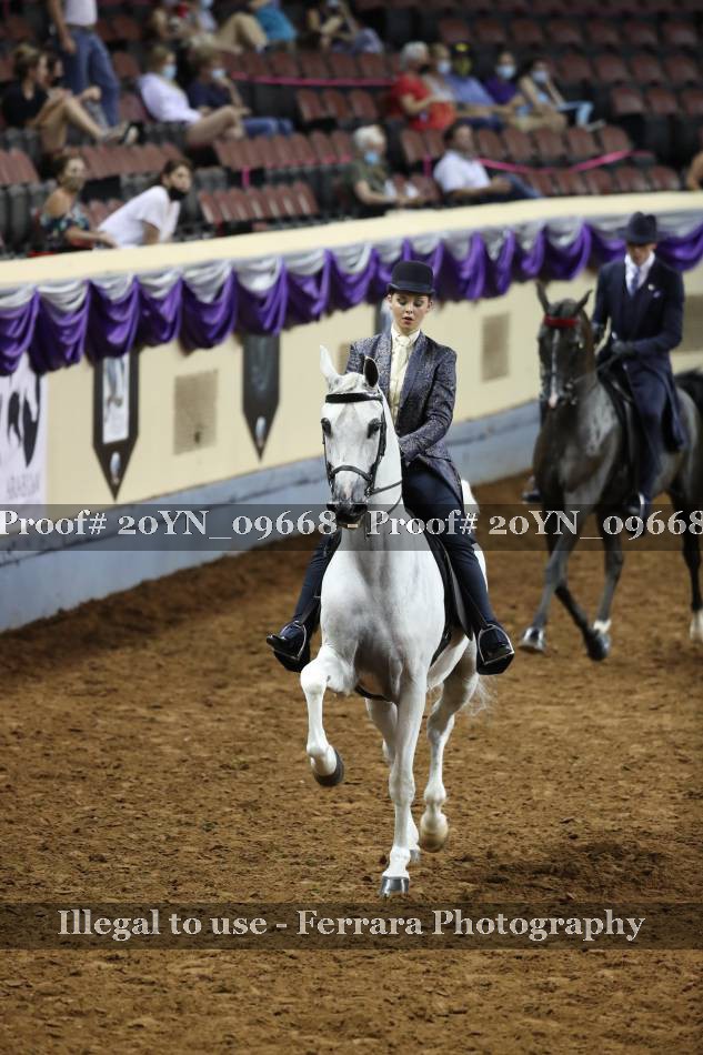 Proof 20YN_09668