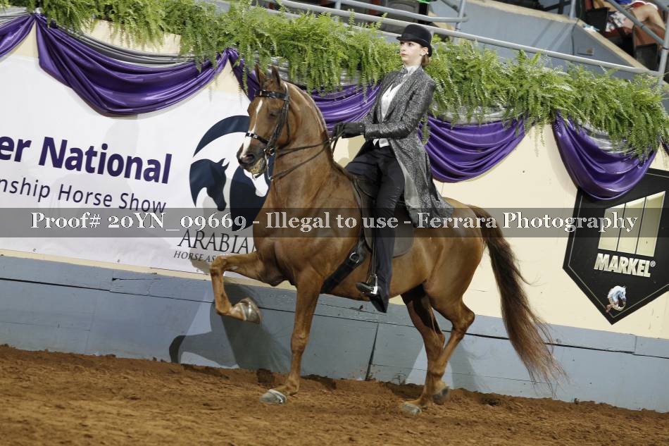 Proof 20YN_09669