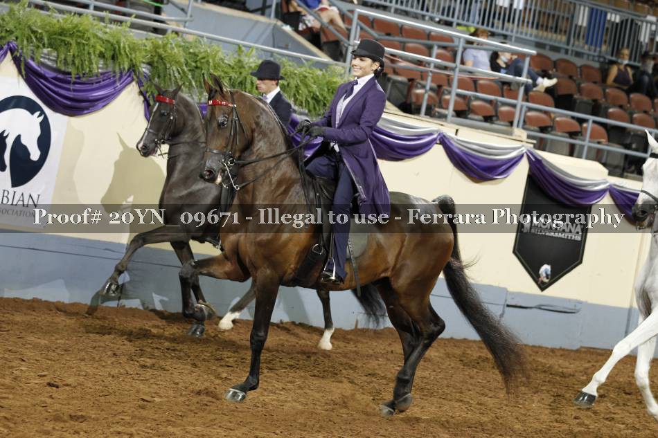 Proof 20YN_09671