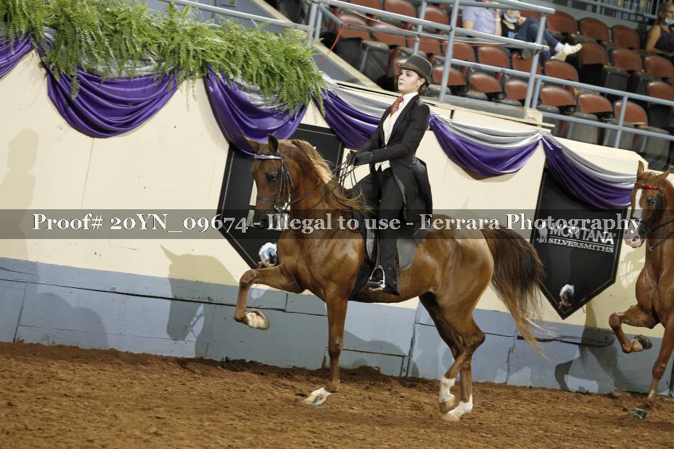 Proof 20YN_09674