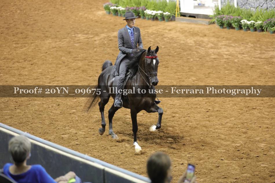 Proof 20YN_09675