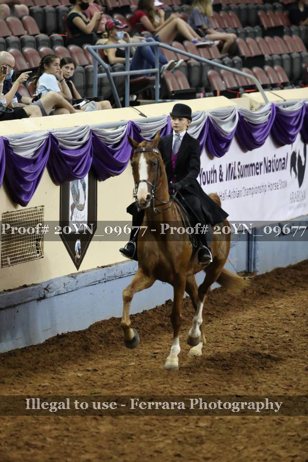 Proof 20YN_09677