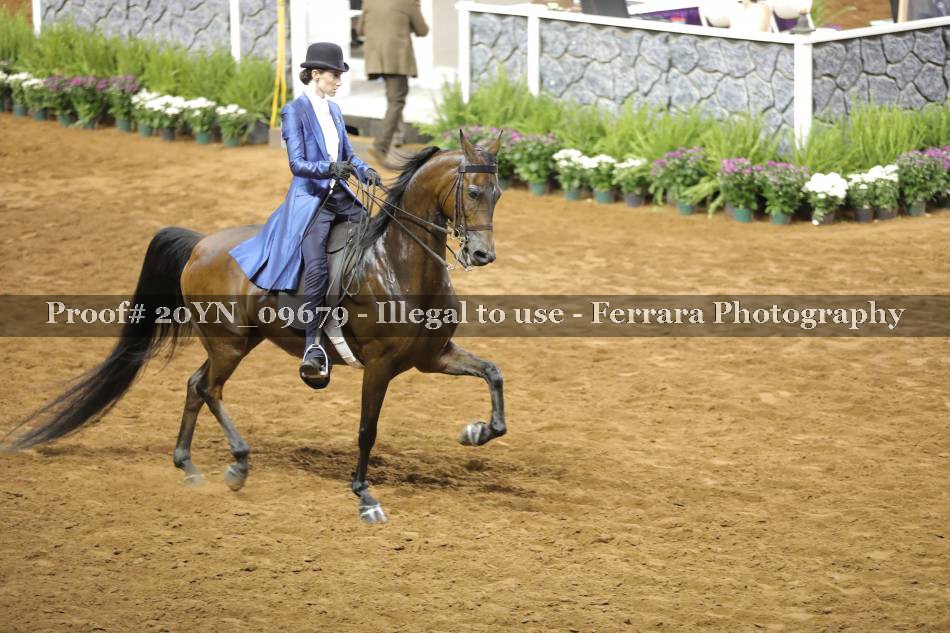 Proof 20YN_09679