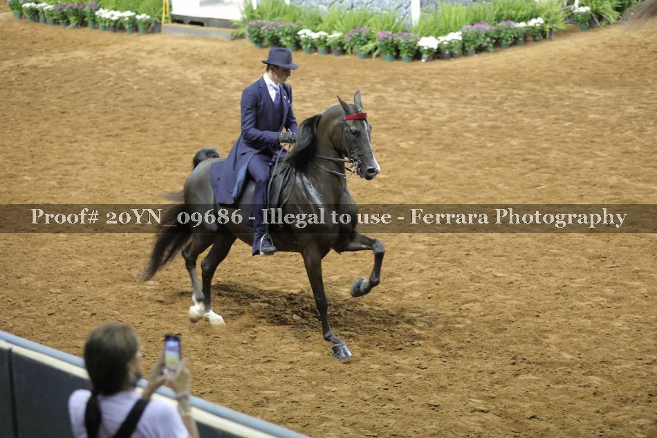 Proof 20YN_09686