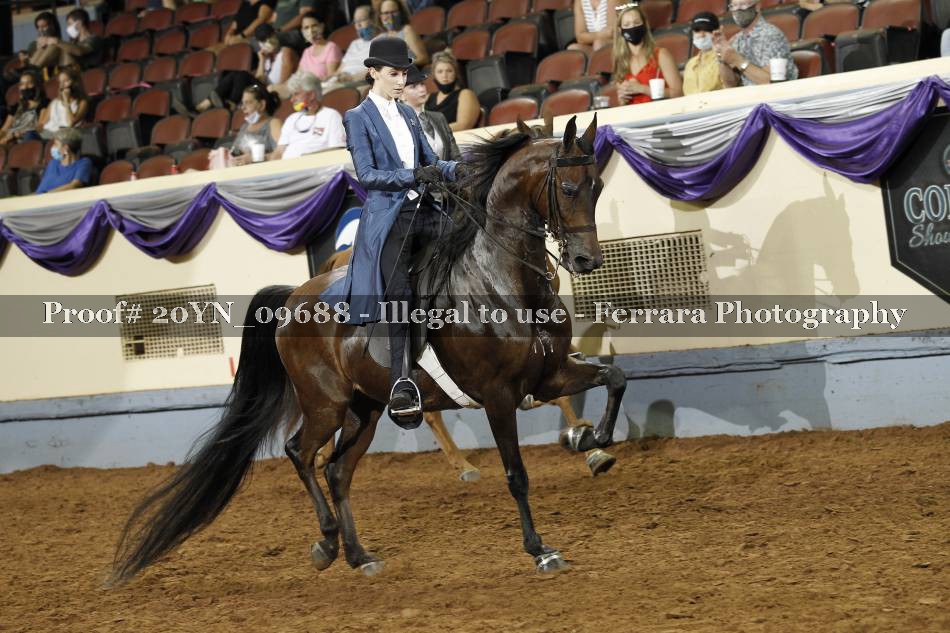 Proof 20YN_09688