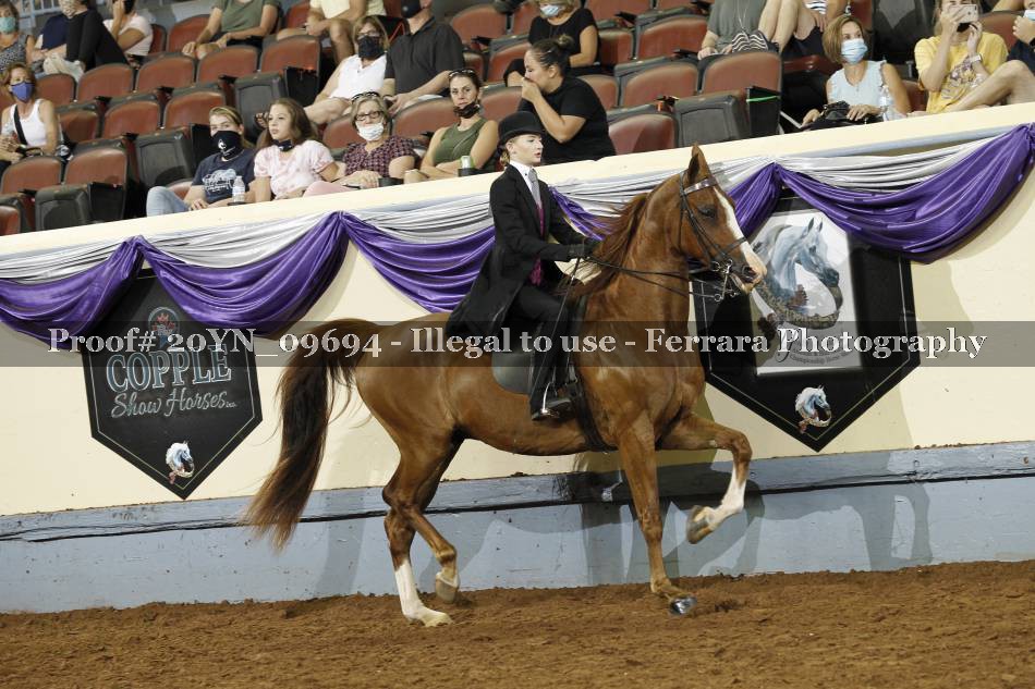 Proof 20YN_09694