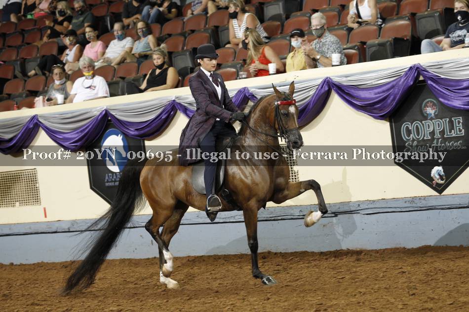 Proof 20YN_09695