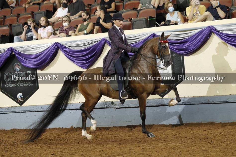 Proof 20YN_09696
