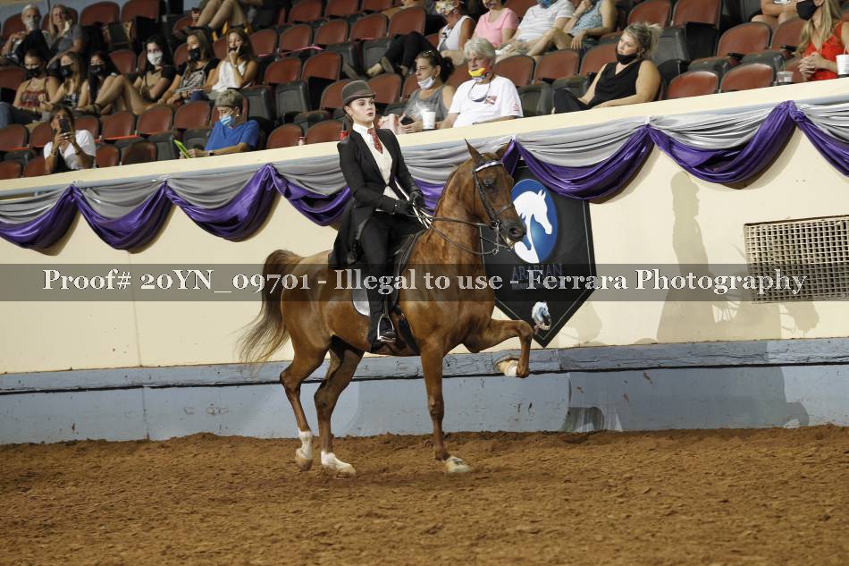 Proof 20YN_09701