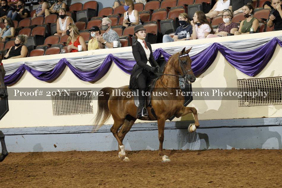 Proof 20YN_09702