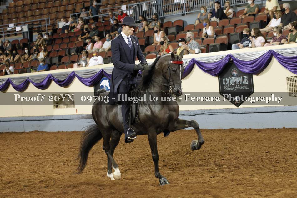 Proof 20YN_09703