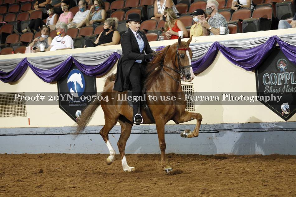 Proof 20YN_09704