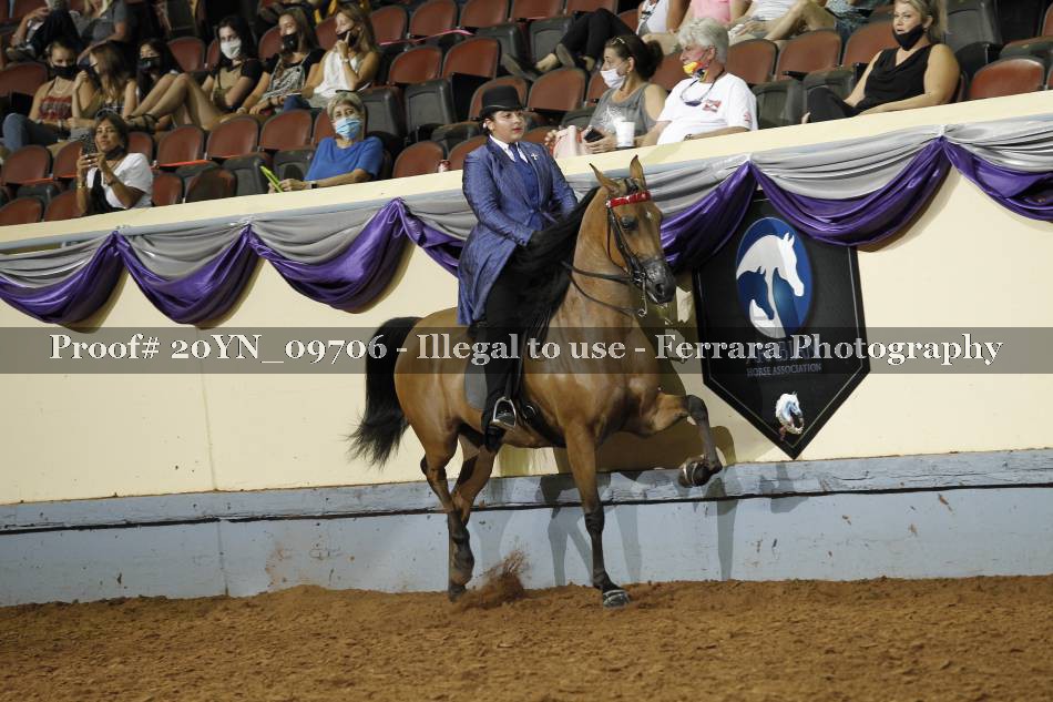 Proof 20YN_09706