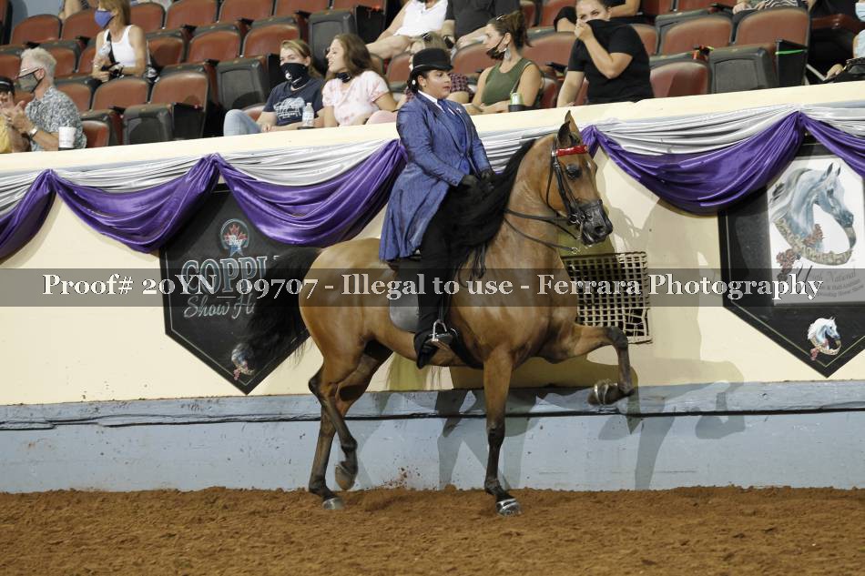 Proof 20YN_09707