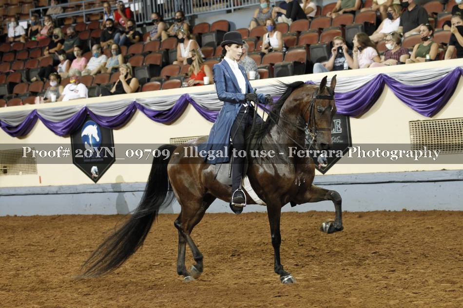 Proof 20YN_09709