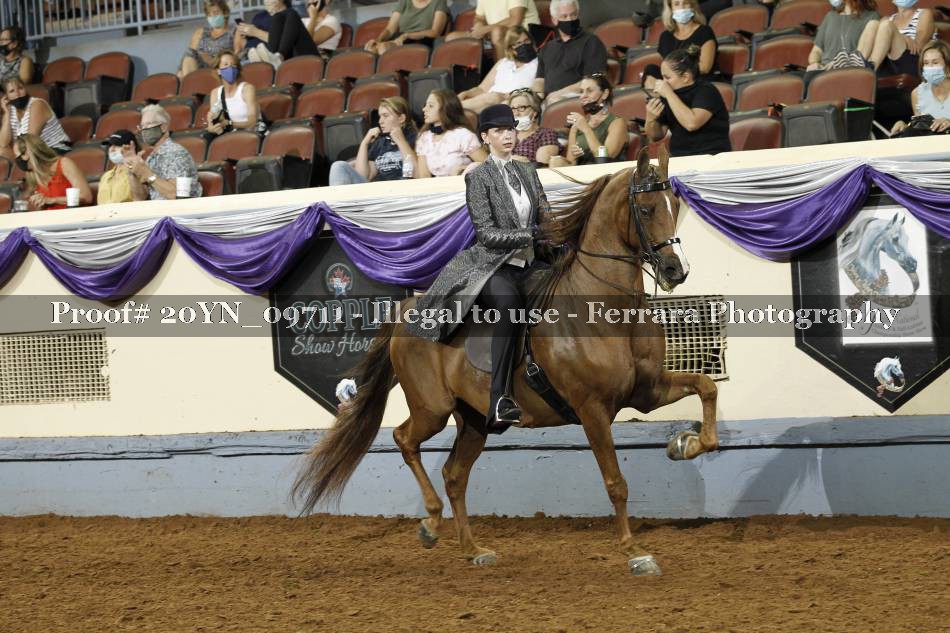 Proof 20YN_09711
